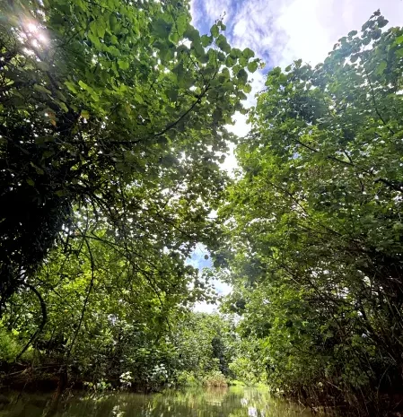 Alani Kayak Raiatea (16)