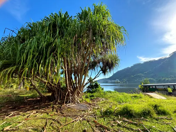 Alani Kayak Raiatea (35)