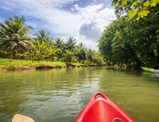kayak alani excursion (1)