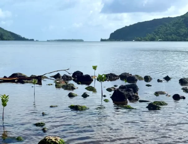 kayak alani excursion (4)